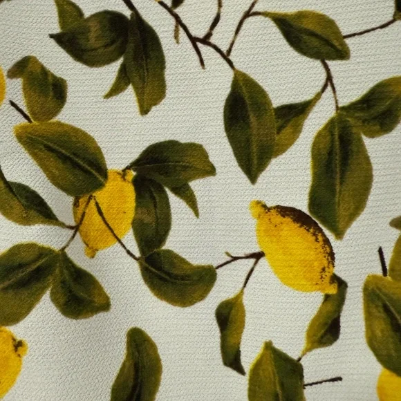 Zara Basic Collection Lemon Print Top - Picture 6 of 6